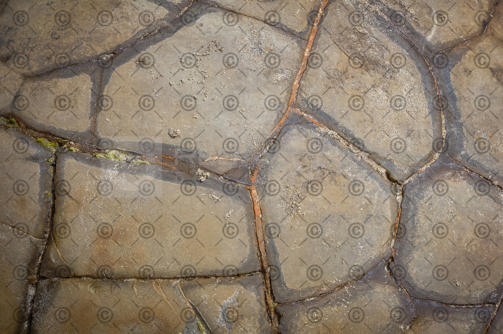 DSC_5492 | Res Niemeyer Photography - Realisiert mit Pictrs.com