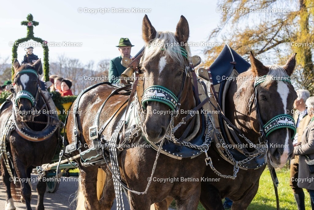 LBT24-1146 | foto-bettina-krinner - Realisiert mit Pictrs.com