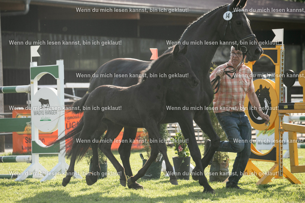 598A7232 | photographylinaismer - Realisiert mit Pictrs.com