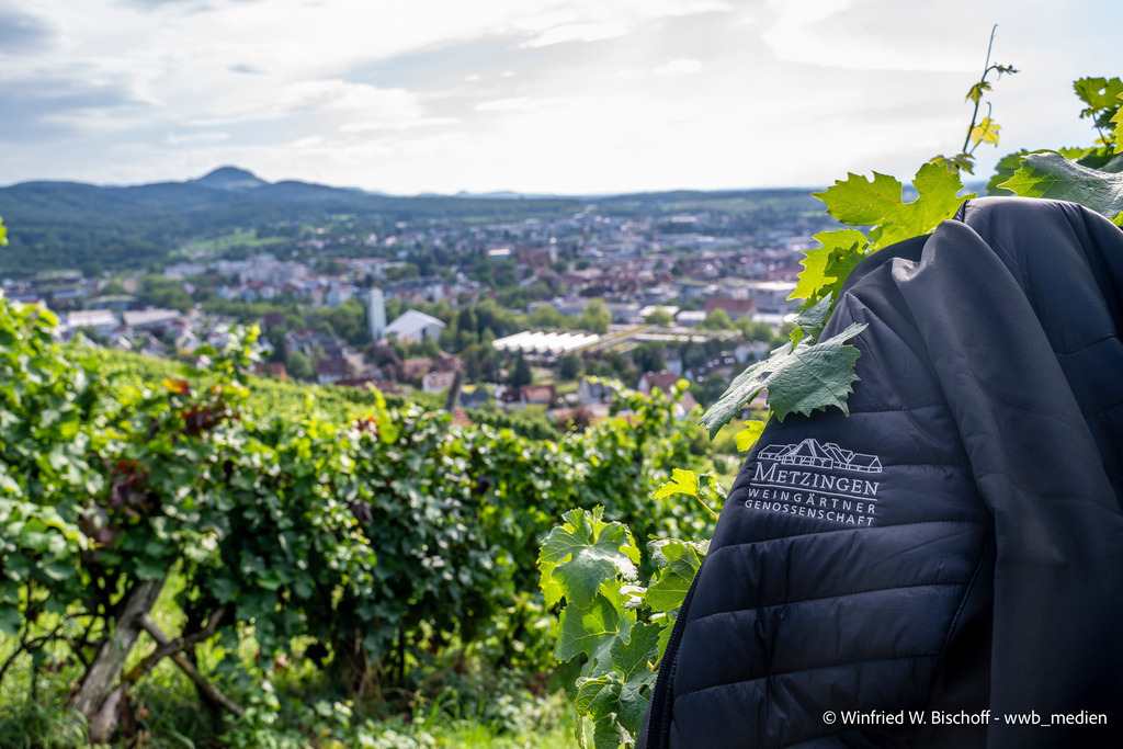 _DSC1229 | <Fotografie> <Video> <Film> <Winfried Bischoff> - Realisiert mit Pictrs.com