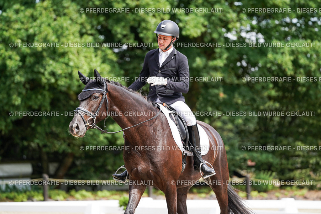 DSC00194 | Pferdegrafie