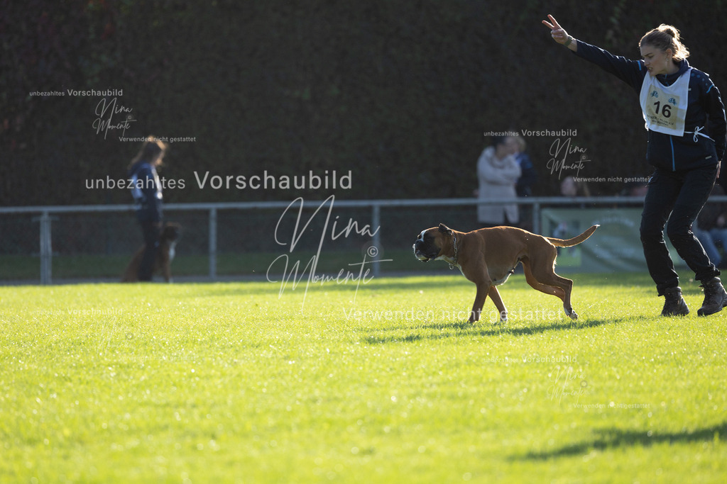 _16A4825 | Einzigartige Fotos von Hunden & Menschen –Actionfotos, Portraits, Vereinsaufnahmen & Paarshootings – authentisch, lebendig & mit Herz.