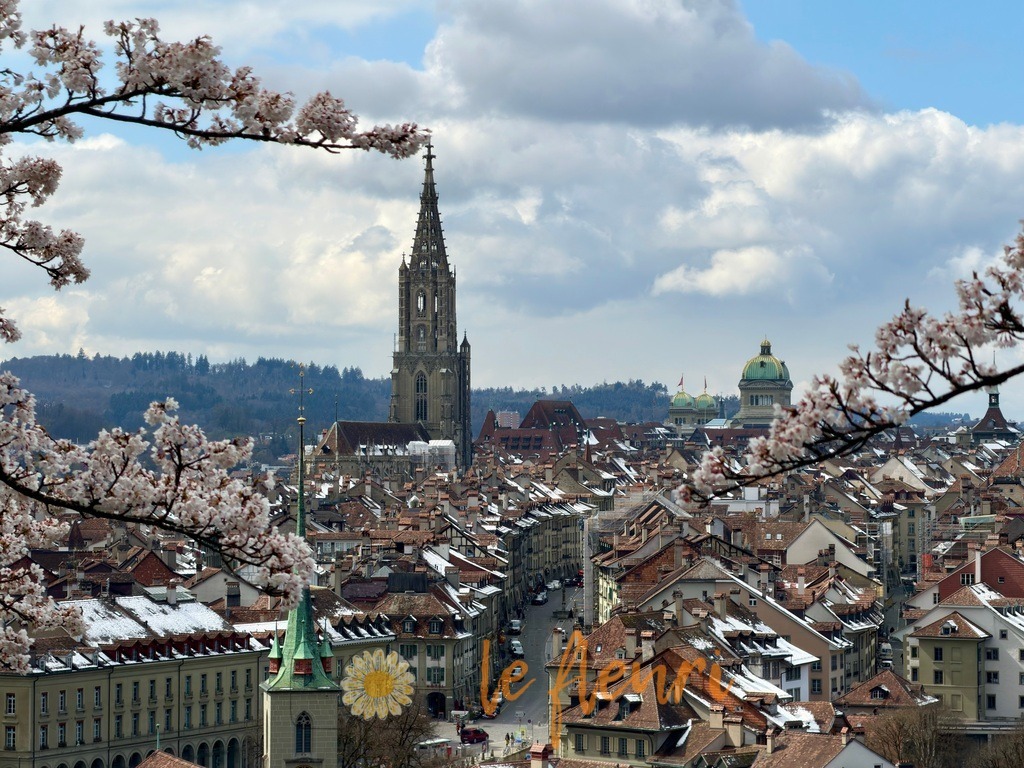 IMG_2935 | Dies ist der Shop von Florian Blum - le fleuri. Langenthal, Bern, Schweiz. Sie können hier meine oder ihre eigenen Fotos als Fotoprodukte kaufen. Tassen, Schlüsselanhänger, Taschen etc. können Sie hier gestalten.  - Realisiert mit Pictrs.com