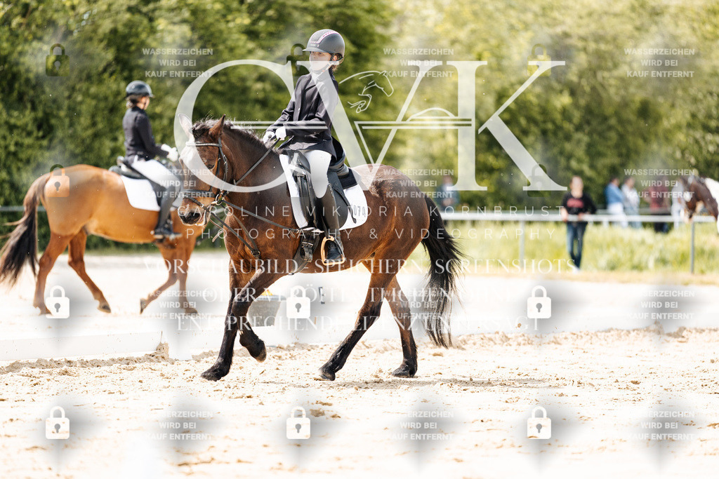 CK901841 | Turnierfotografie Pferdefotografie Trier Rheinland-Pfalz Pferdesport Reitsport Tierfotografie Sportfotografie Pferdevideo Pferdevideografie Equestrianvideography equestrianphotography  - Realisiert mit Pictrs.com