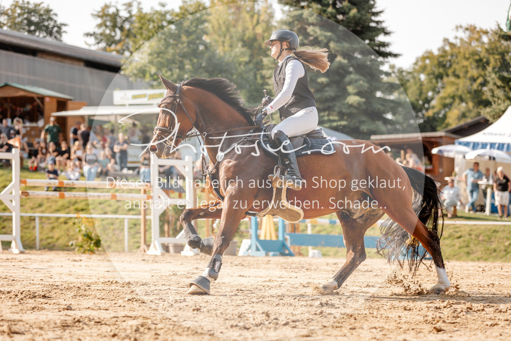 3I6A5097 | Stimmungsvolle Portraits und Reitsportfotografie im Ruhrgebiet und im Münsterland.

Pferdefotografie, Hundefotografie, Tierfotografie, Reportagen, Portraits von Tier und Mensch, Turnierfotografie in Bochum, Recklinghausen, Marl, Haltern am See, Dülmen.. - Realisiert mit Pictrs.com