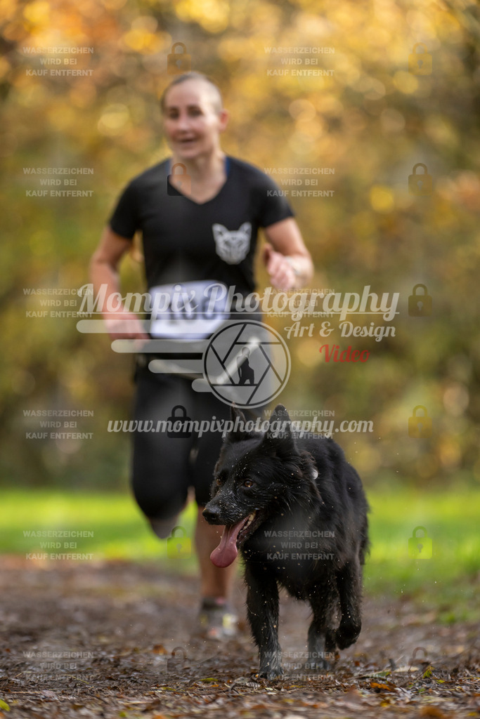 MompixPhotography_Bischwiller23_Canicross-73 | PayLife