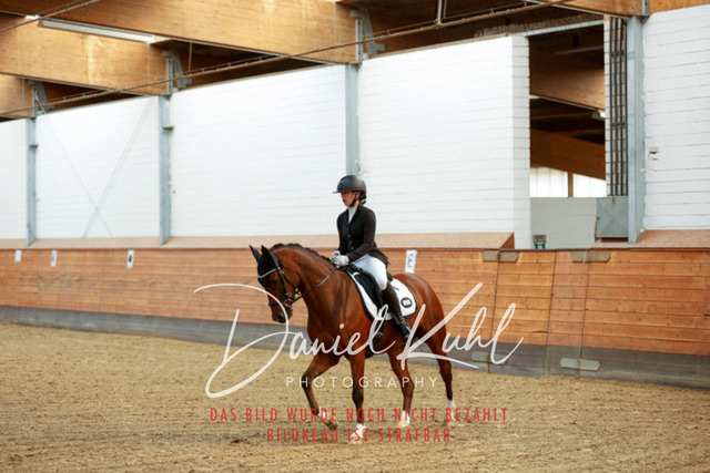 _62_6485 | Turniersportfotografie; Pferdefotografie; Dressurfotografie