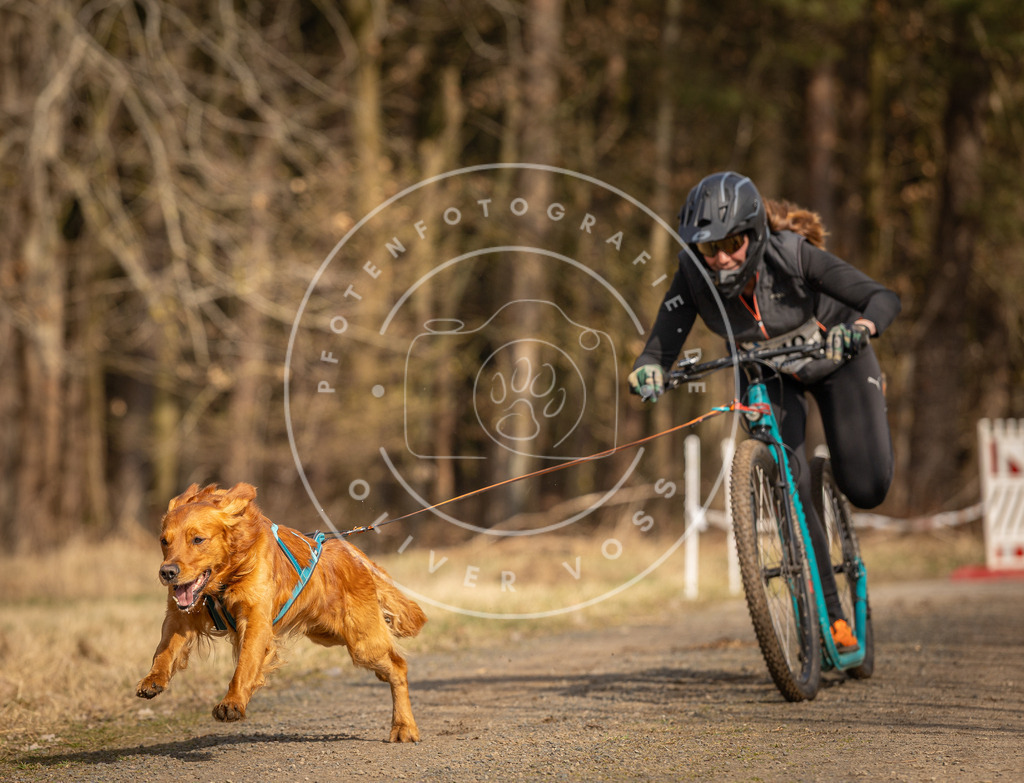 DV3A4751 | Hundefotografie, Tierfotograf, Pfotenfotografie, Fotoshooting Hund, Hunde Portrait, Hundesport, Hundeportraits, Heideshooting, Hunde, Sportfotograf, Hundefotograf, Turnierhundsport, THS,  - Realisiert mit Pictrs.com