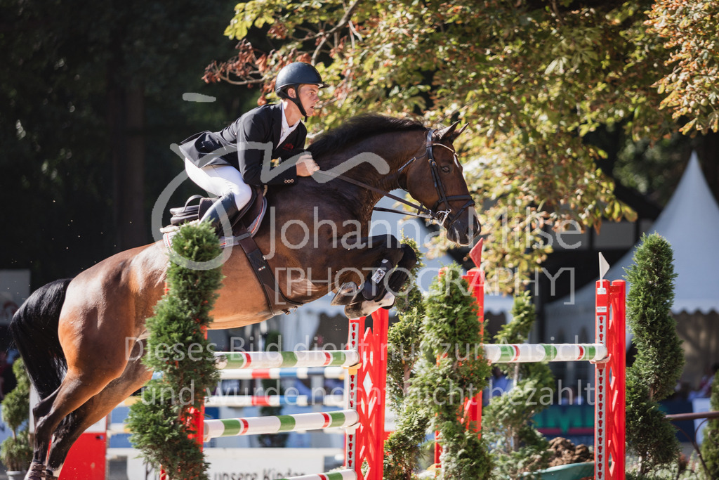 230910_OWLCh_GroßerPreis-661 | Deine schönsten Turniermomente als professionelle Fotos! Entdecke hochwertige Pferdesport-Fotografie im Online-Shop. Jetzt Fotos finden & bestellen!