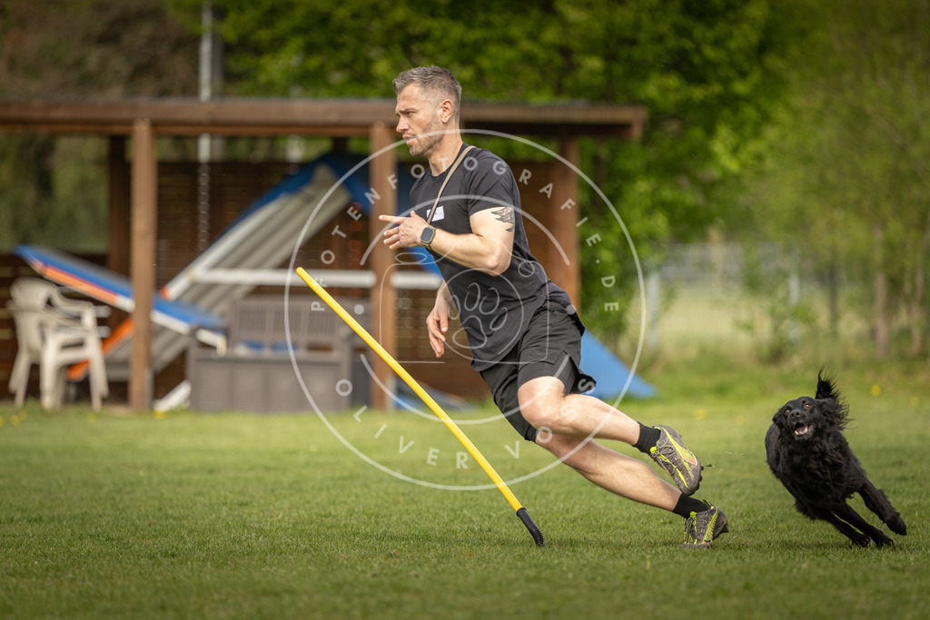 Pfotenfotografie_DV3A5224 | Hundefotografie, Tierfotograf, Pfotenfotografie, Fotoshooting Hund, Hunde Portrait, Hundesport, Hundeportraits, Heideshooting, Hunde, Sportfotograf, Hundefotograf, Turnierhundsport, THS,  - Realisiert mit Pictrs.com