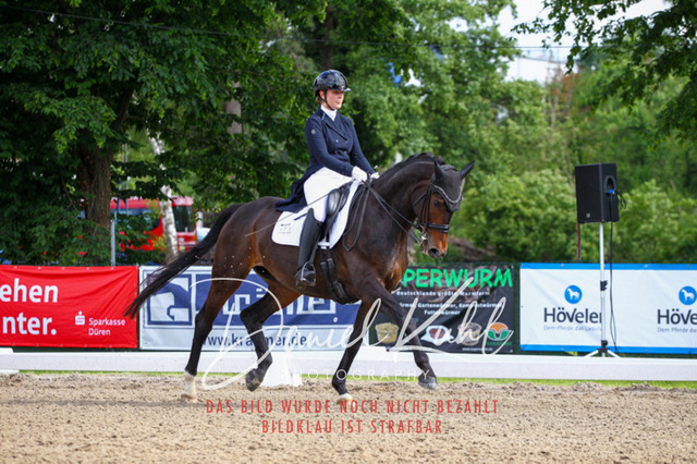 DKP41457 | Deine Turnierfotos vom Reitturnier online kaufen: Dressur, Springen & Siegerehrung. Professionelle Pferdefotografie aus dem Rheinland – als Download & Print.Alternative: Turnierfotograf für den Pferdesport: Finde deine Fotos von Dressur- und Springturnier