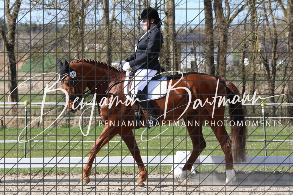 AZ2A5041 | Benjamin Bartmann Photomoments