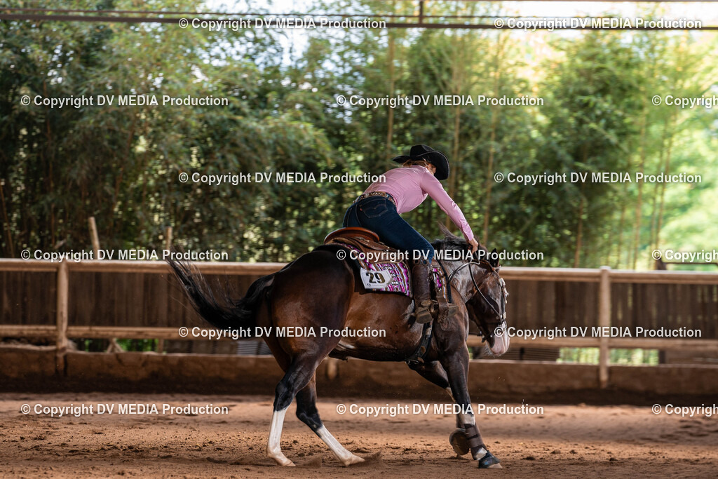 Erbach Tag 2-0984 | dv-media-shop - Realisiert mit Pictrs.com