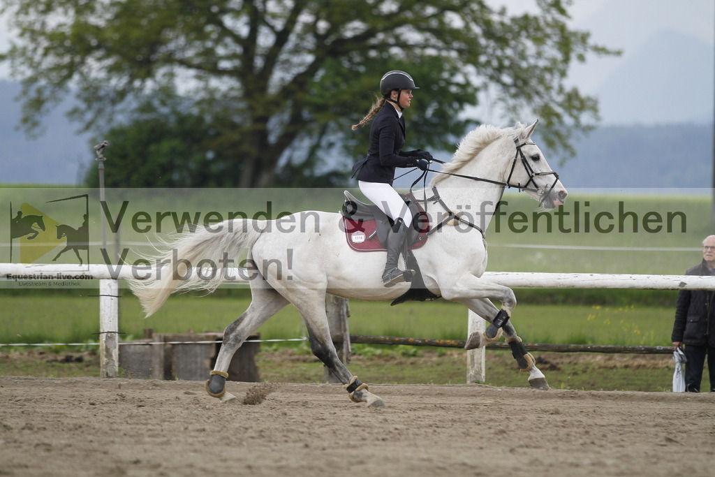 _MG_7674 | equestrian-live-com