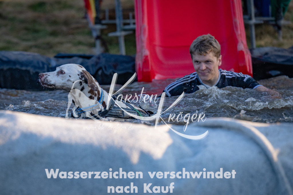 1847_ZZ91734 | kk-dogfotos