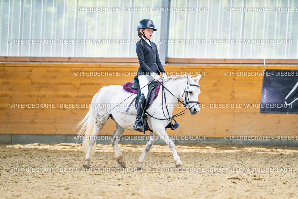 DSC04955 | Pferdegrafie