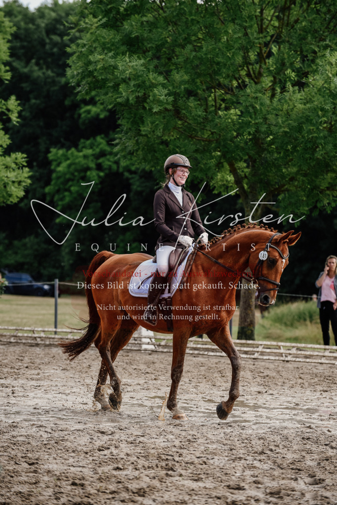 DSC_9676 | Pferde- und Turnierfotografie in Westsachsen. Pferdeportraits, Auftragszeichnungen und intuitive Kunst.