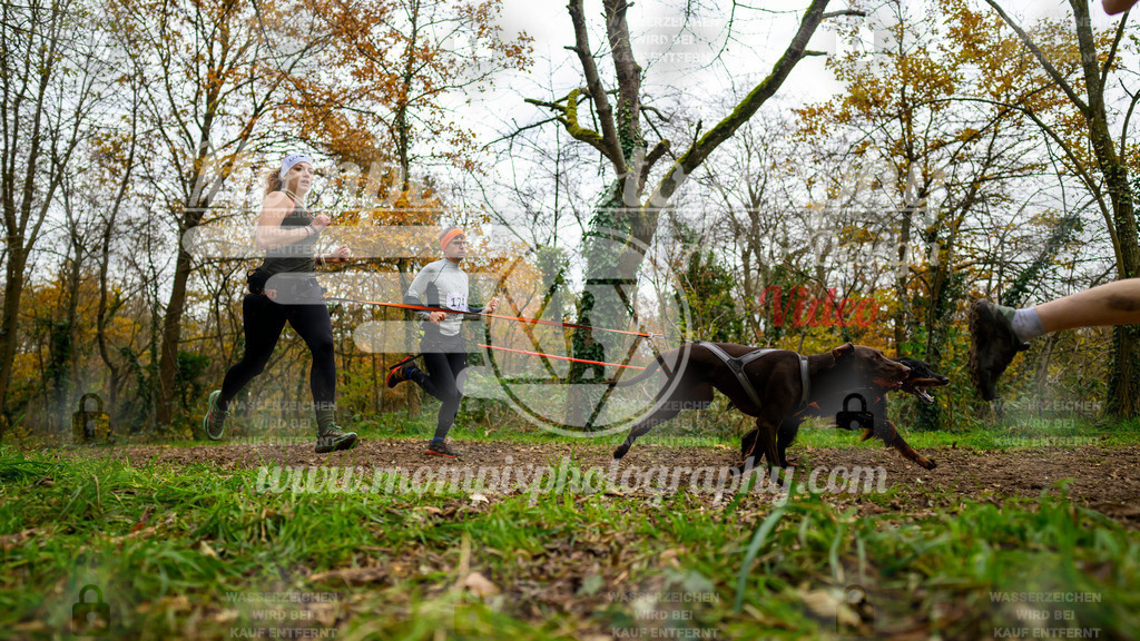 MompixPhotography_Bischwiller24_DI_CoursedeRelais-13 | PayLife