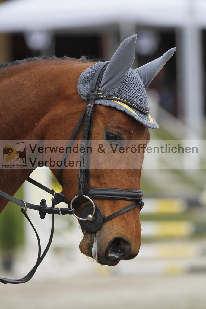 _MG_0902 | equestrian-live-com