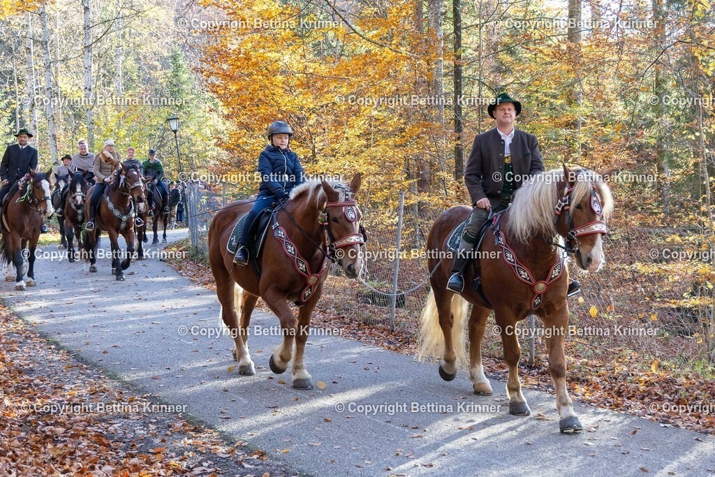 LL24-345 | foto-bettina-krinner - Realisiert mit Pictrs.com