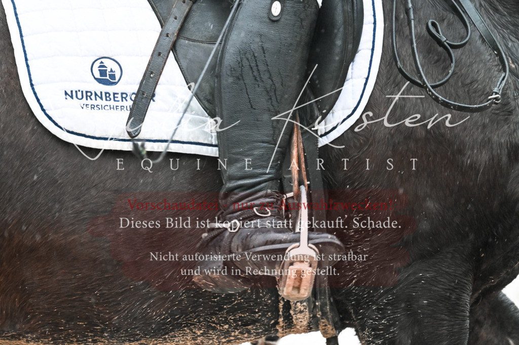 DSC_4654 | Pferde- und Turnierfotografie in Westsachsen. Pferdeportraits, Auftragszeichnungen und intuitive Kunst.