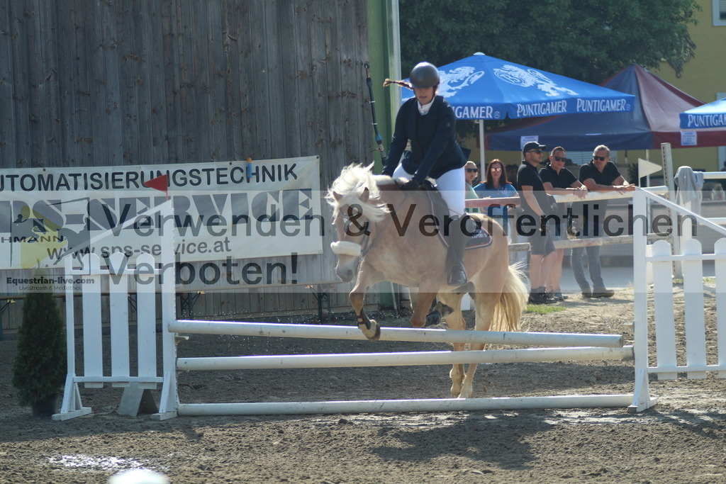 IMG_3037 | equestrian-live-com