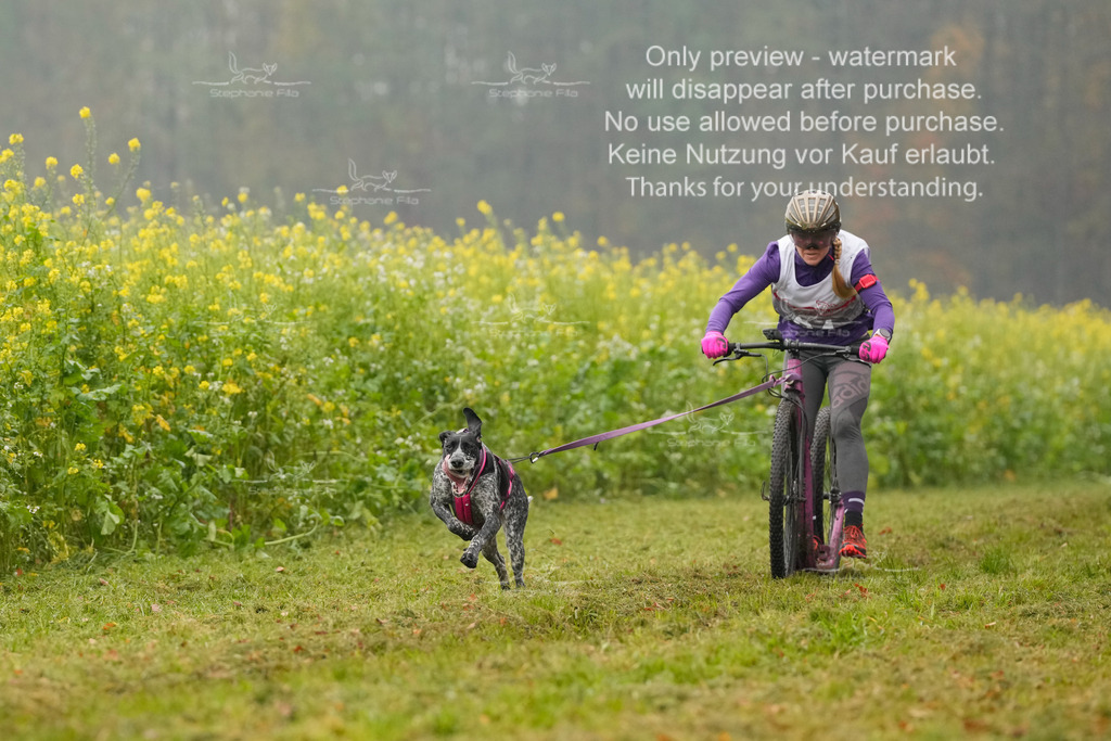 Visbeck_Sa_Scooter_Hc-34 | stephaniefillaphotographie - Realisiert mit Pictrs.com