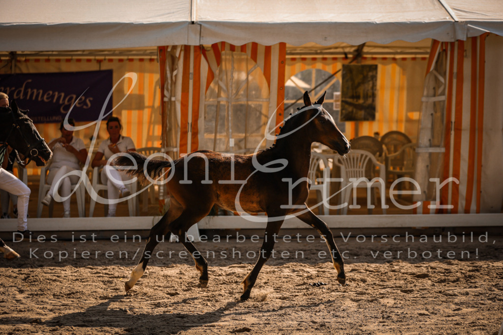 11.DoRP00081 | Leoni Ertmer Photography - Realisiert mit Pictrs.com