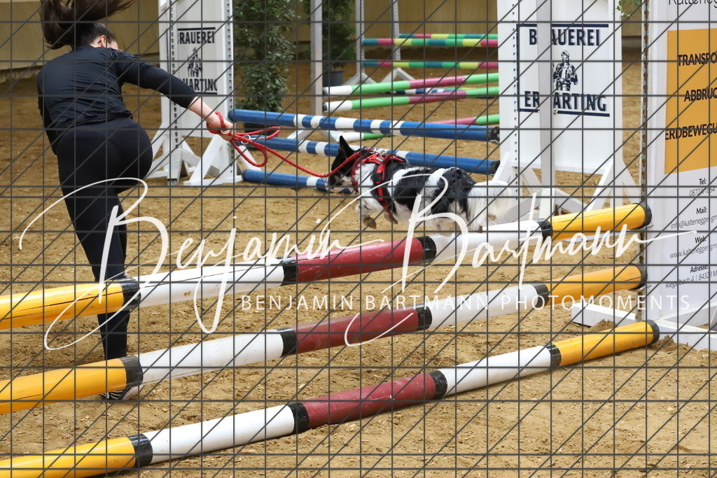 IMG_3918 | Benjamin Bartmann Photomoments