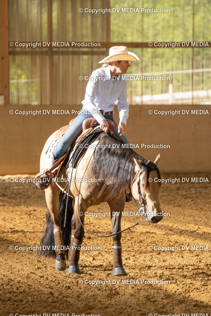 LAU01480 | dv-media-shop - Realisiert mit Pictrs.com