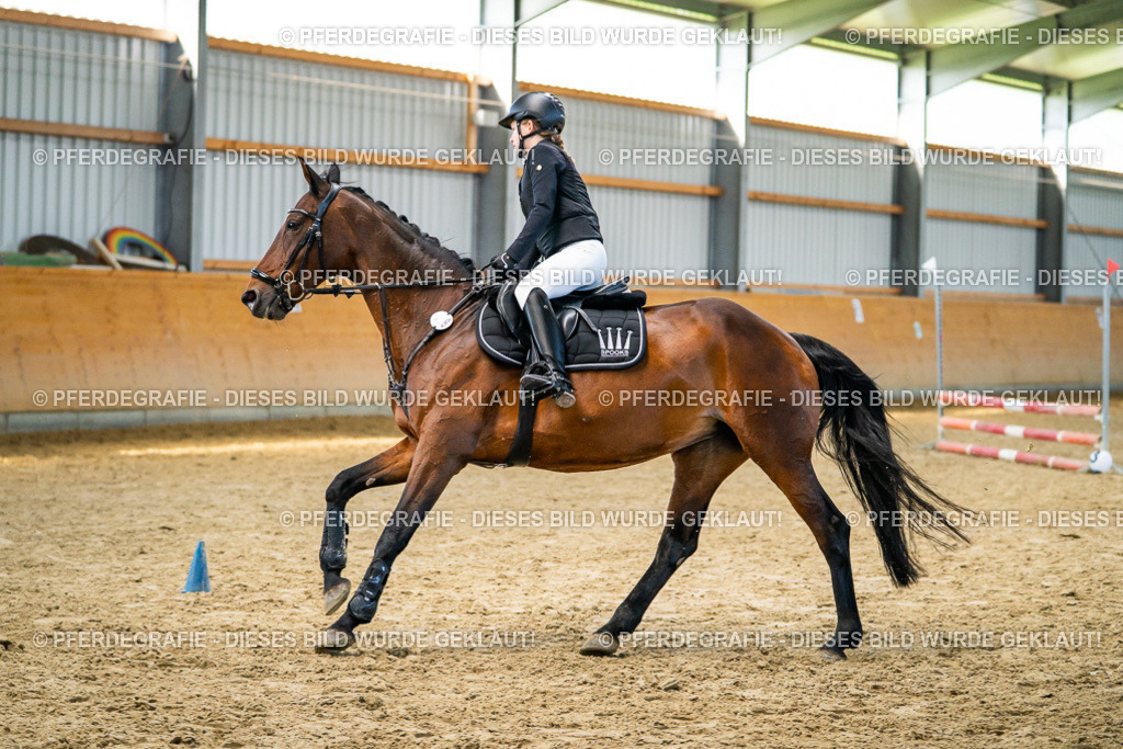 DSC01144 | Pferdegrafie