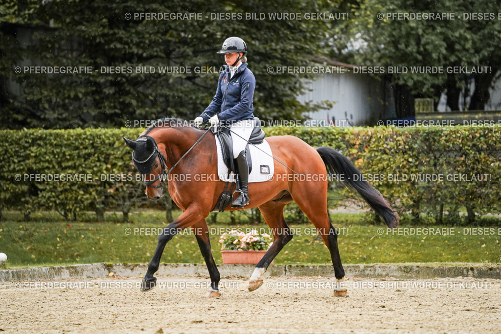 DSC06306 | Pferdegrafie