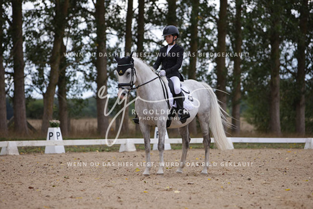 1J2A0799Charlotte Fehr_ Ikon 16_ Kn061_ Wöpkendorf_ Annalena Beier_ Quinn M_ Kn095 | Foto- und Videografie für alles rund ums Pferd. Hochwertige Bilder und Videos vom Spring- und Dressurreiten, Voltigieren & mehr. Jetzt aktuelle Veranstaltungen und Preise im Shop ansehen. - Realisiert mit Pictrs.com