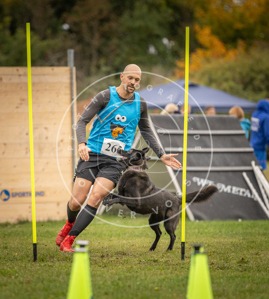 Pfotenfotografie_DV3A7429 | Hundefotografie, Tierfotograf, Pfotenfotografie, Fotoshooting Hund, Hunde Portrait, Hundesport, Hundeportraits, Heideshooting, Hunde, Sportfotograf, Hundefotograf, Turnierhundsport, THS,  - Realisiert mit Pictrs.com