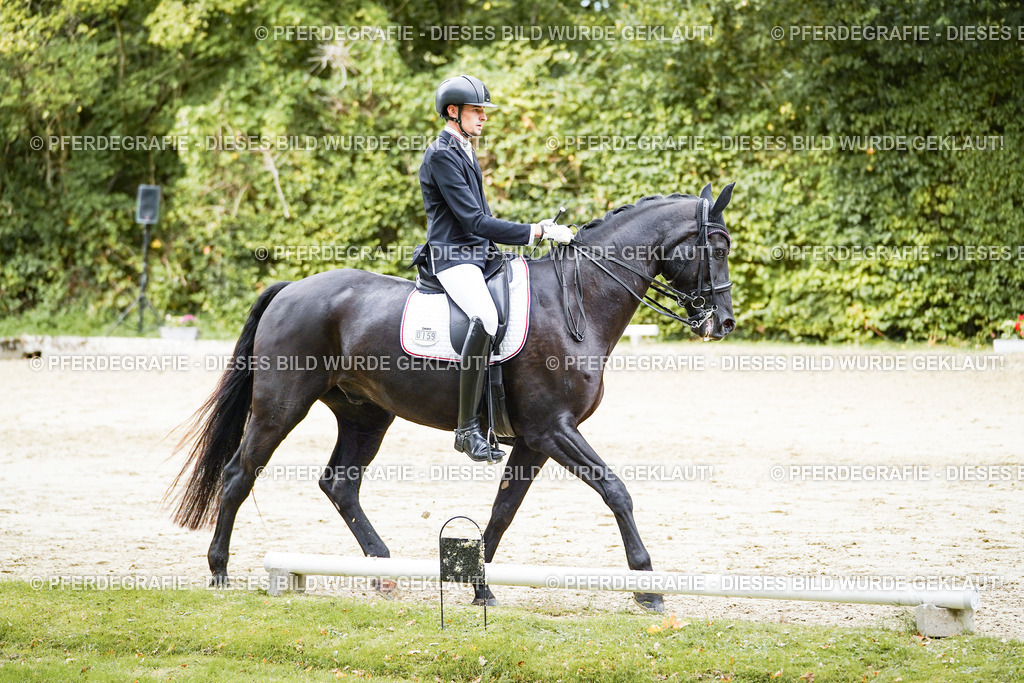 DSC05588 | Pferdegrafie