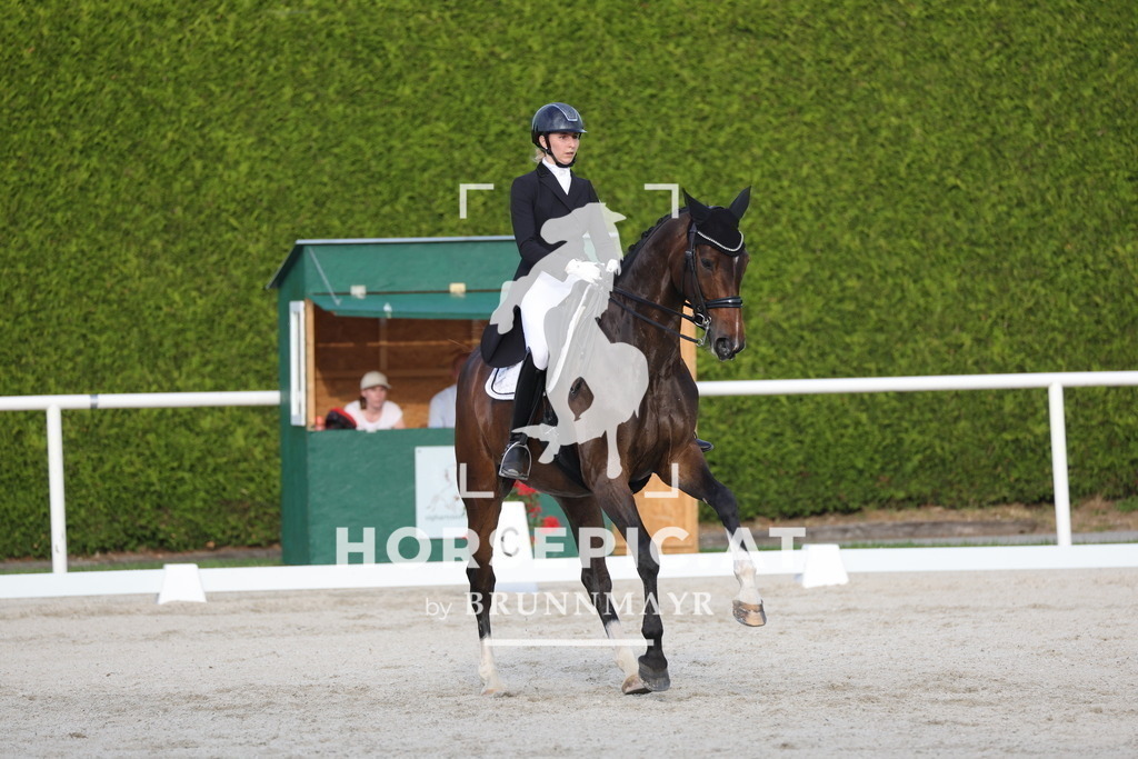 0P6A4315 | Willkommen bei Brunnmayr - Design & Fotografie – Ihrem Spezialisten für Reitturniere und Pferdeveranstaltungen in Oberösterreich, Salzburg und Bayern! Seit über 17 Jahren sind wir leidenschaftlich dabei.