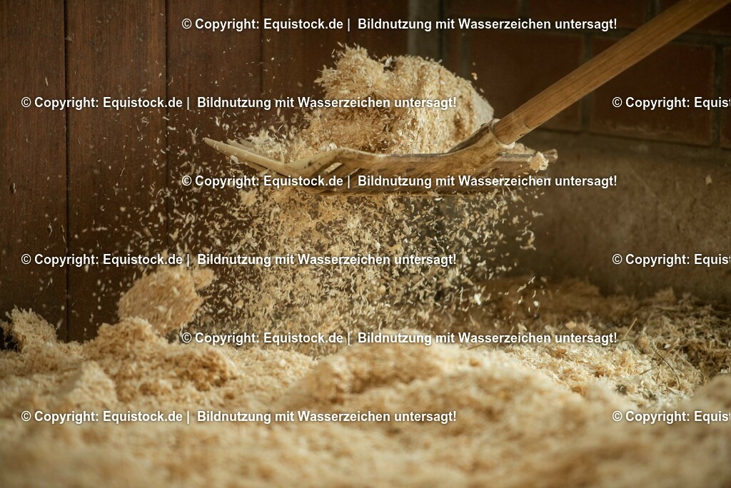 20190409_Einstreu_in_Pferdebox_0010 | Foto: Thomas Hartig