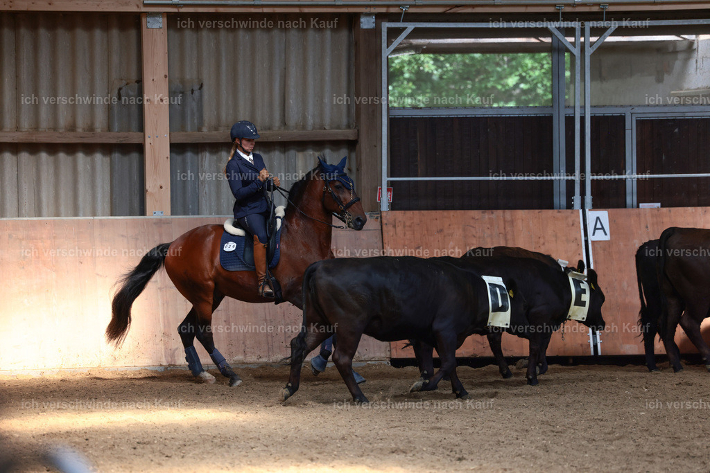 Masterclass_stoibphotography_C2_L7372.JPG | working equitationturnier fotograf videograf stoibphotography marixx film working equitation deutschland reitsport turnierfotografie eventfotografie equestrian events