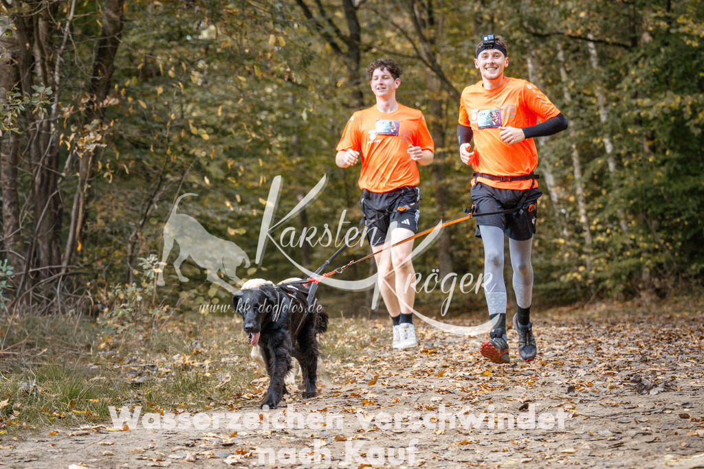 1311_ZZ97642 | kk-dogfotos