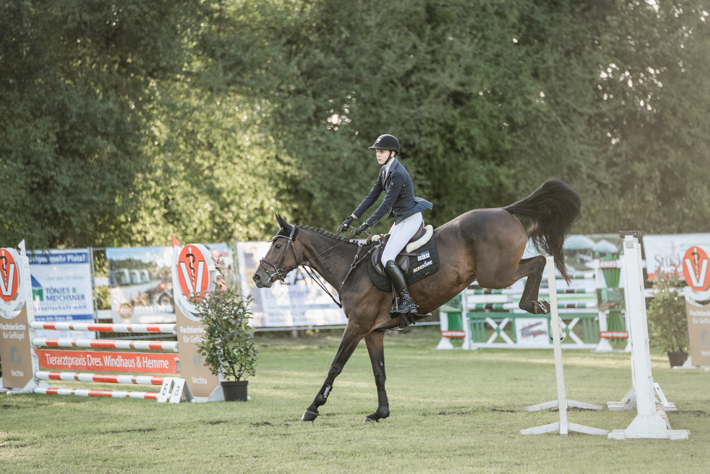 Springpferde A_-23 | Kristin Schumacher Photography