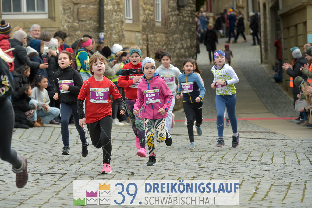 39. 3Koenigslauf 2025 | 20250106_3koenigslauf - Realisiert mit Pictrs.com
