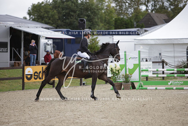 1J2A0098Timo Evers_ Didier b_ Kn394_ Havekost | Foto- und Videografie für alles rund ums Pferd. Hochwertige Bilder und Videos vom Spring- und Dressurreiten, Voltigieren & mehr. Jetzt aktuelle Veranstaltungen und Preise im Shop ansehen. - Realisiert mit Pictrs.com