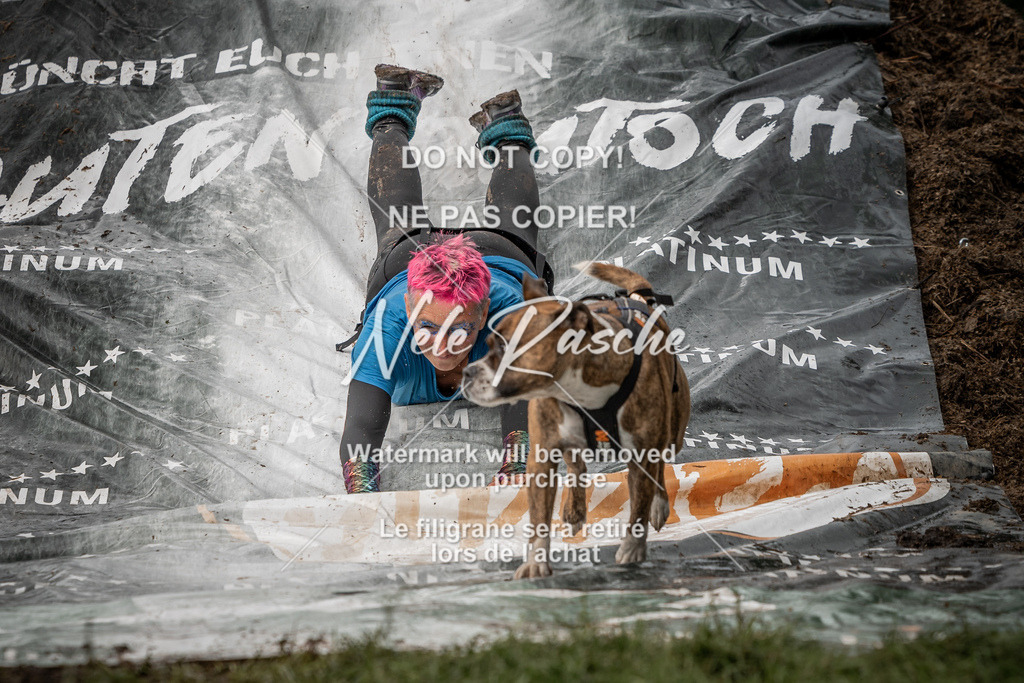 nelerasche_Wingst_Sa1300-1330_50 | nelerasche