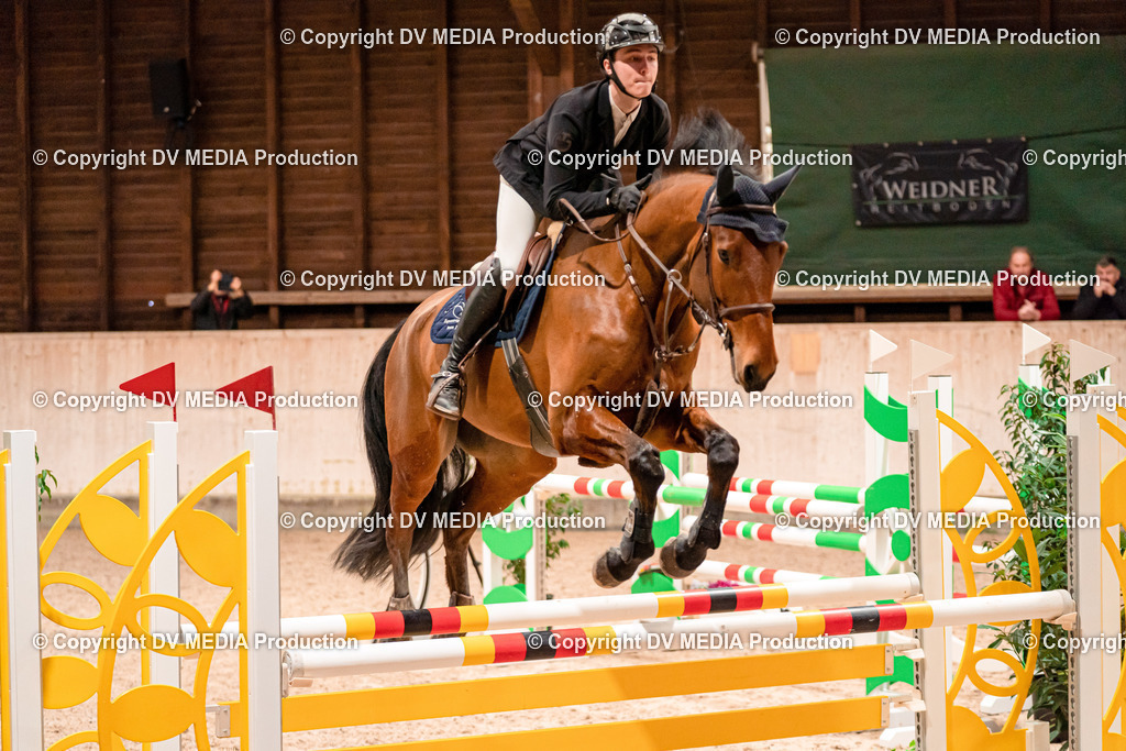 Springen Tag 1-351 | dv-media-shop - Realisiert mit Pictrs.com