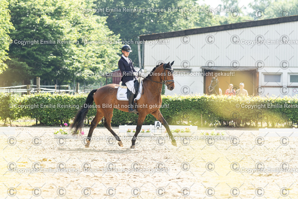 CL5A4135 | Emilia Reinking Fotografie - Realisiert mit Pictrs.com