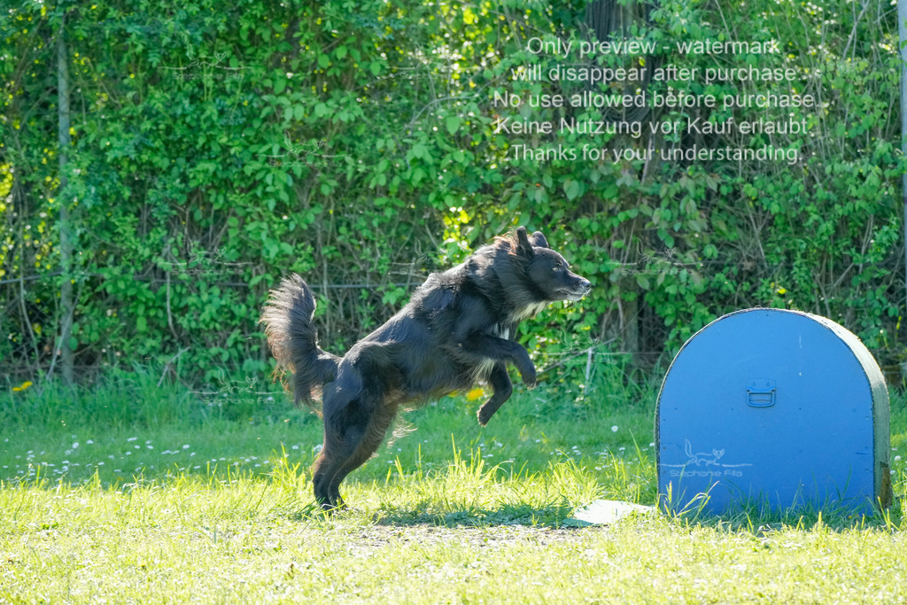 Sa_VK3_03-61 | stephaniefillaphotographie - Realisiert mit Pictrs.com