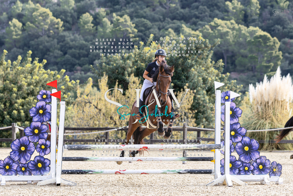 IMG_5505 | s-jay-photography - Realisiert mit Pictrs.com