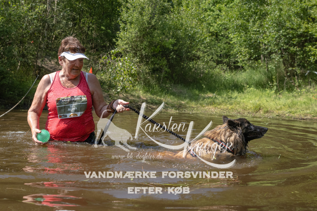 1519DKK991156 | kk-dogfotos