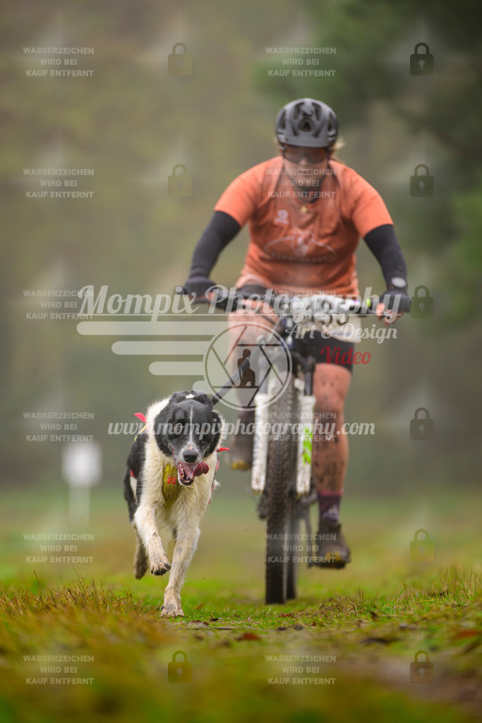 MompixPhotography_Bischwiller2025_Bike-52 | mompixphotography
