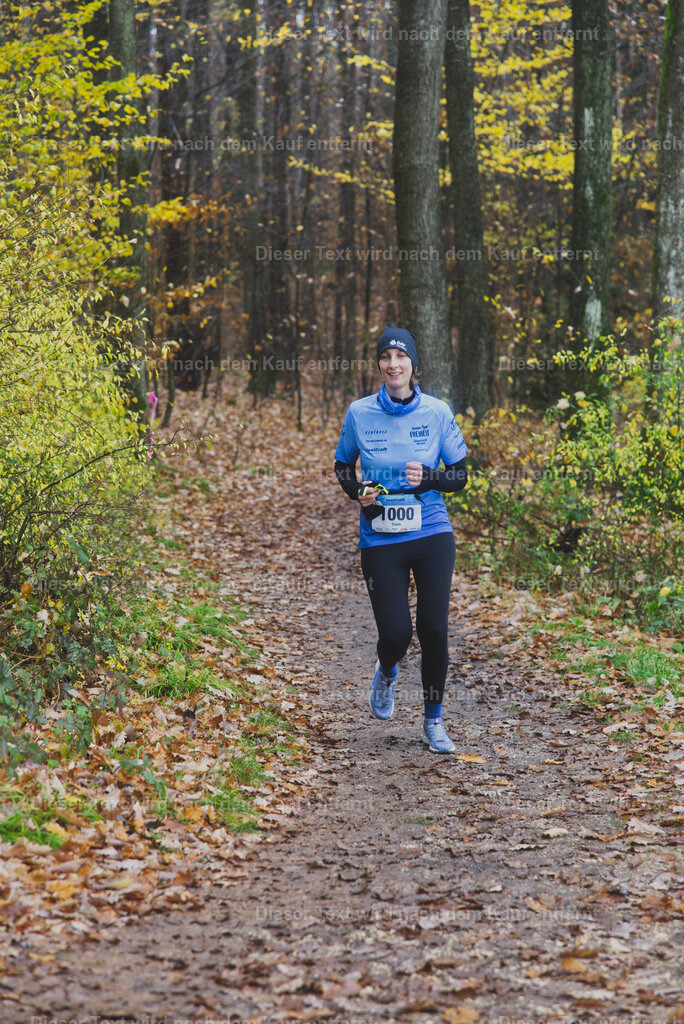 cineathletes-huegelland-2025-11-09-12-12-36 | Sportfotografie rund um Obstacle Course Racing und Trail Run - Realisiert mit Pictrs.com
